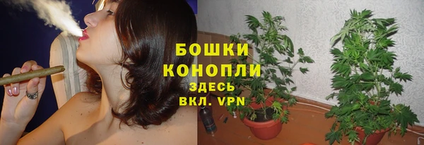 PSILOCYBIN Горнозаводск
