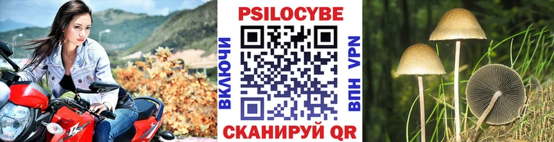 Галлюциногенные грибы Psilocybine cubensis  Купить закладки  Закаменск 